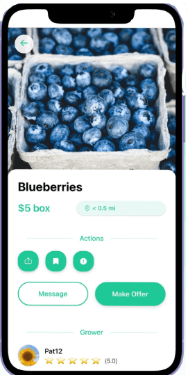 Nrhoot app showing a Blueberries listing: $5 box, under 0.5 miles away, with Message and Make Offer buttons